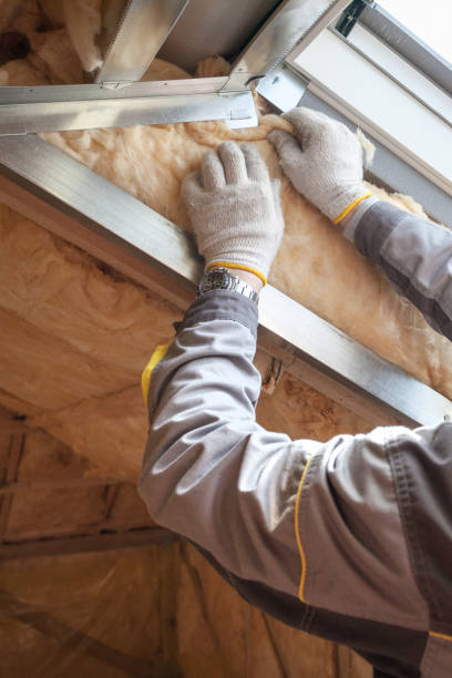 Best Insulation Installation Services in Houghton, MI